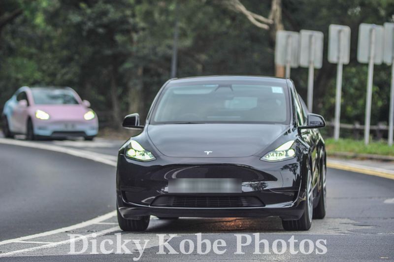 2024-11-15-dicky-kobe-photo-s-c404da06e826