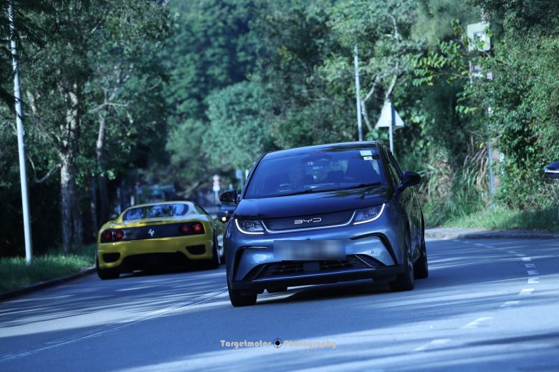 BYD Dolphin