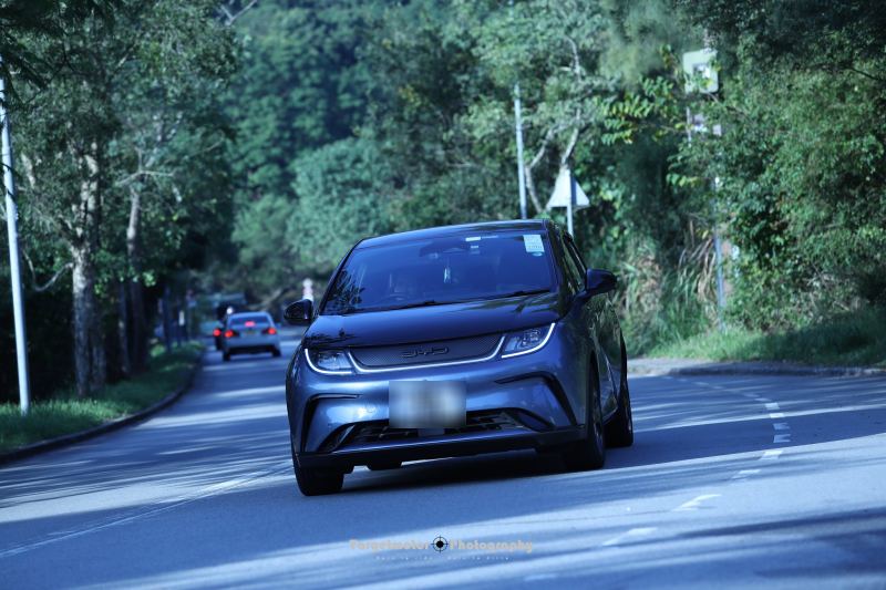 BYD Dolphin