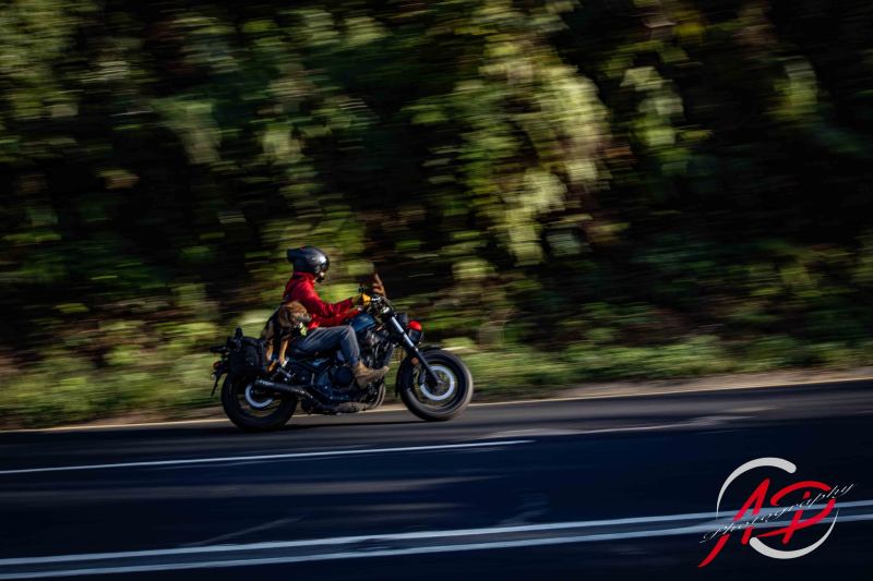 2024-12-22-ad-photography-ac488d4bd123