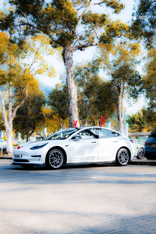2024-12-24-white-lee-tesla-photo-484f7f2de8d1