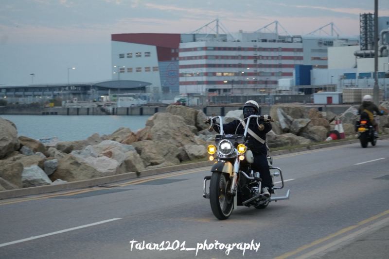 Harley-Davidson Softail