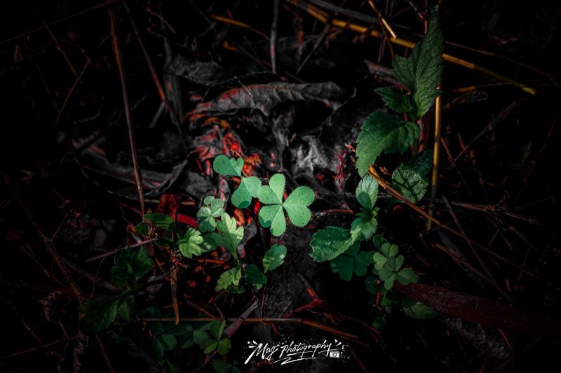 09112025 LK 歡迎PM查詢或購買 IG : mag_photography__ with 157 Attachments: