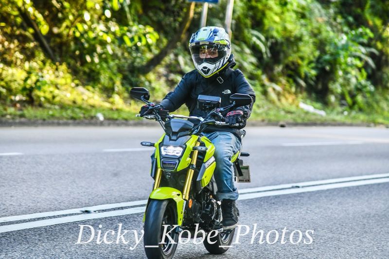 Honda Grom